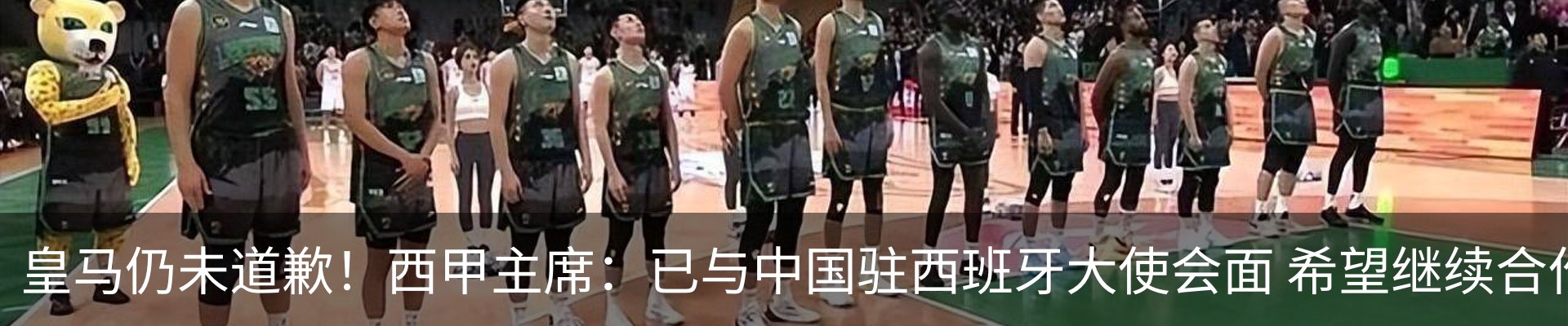 最新动态